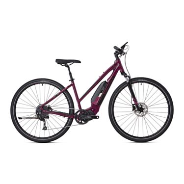 X2 Open Frame Small Sample Bike (Used)