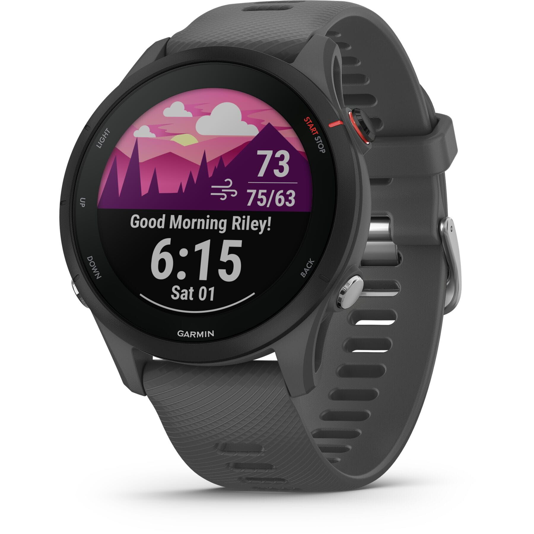 Garmin Forerunner 255 GPS Watch - Slate Grey