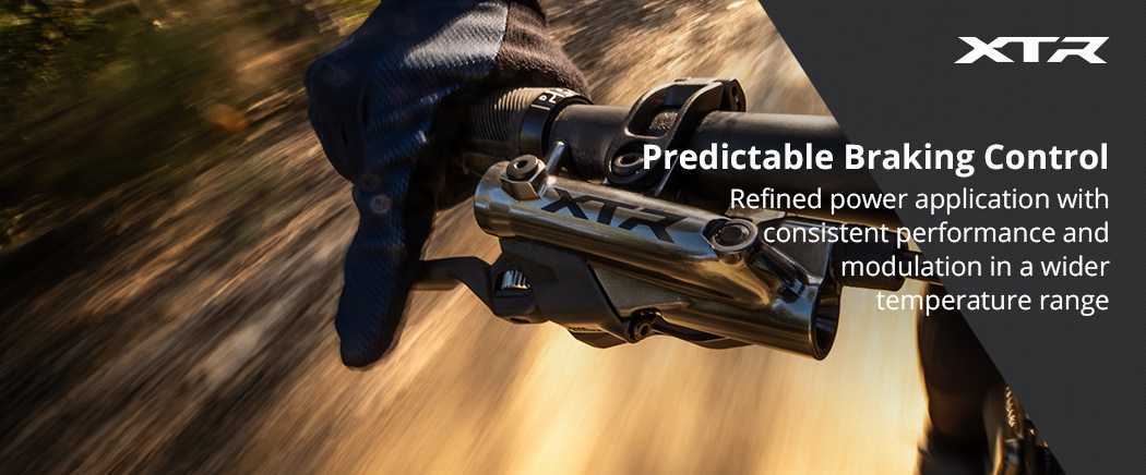 Predictable Braking Control
